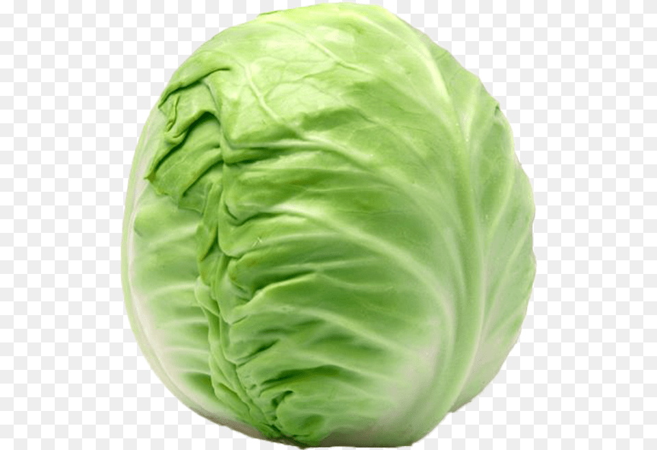 Cabbage Welcome To Grnsaksmstarna Vitt Kl, Food, Leafy Green Vegetable, Plant, Produce Free Transparent Png