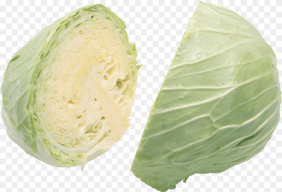 Cabbage Without Background Cabbage, Food, Leafy Green Vegetable, Plant, Produce Free Png Download