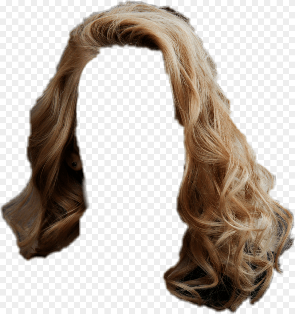 Cabelo Capelli Ricci Spazzola E Phon, Adult, Blonde, Female, Hair Png