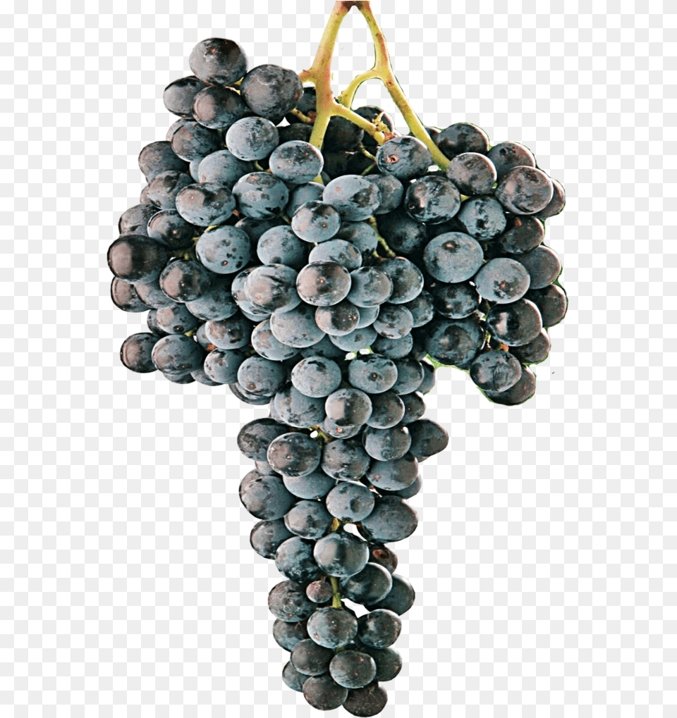 Cabernet Grape, Food, Fruit, Grapes, Plant Free Transparent Png