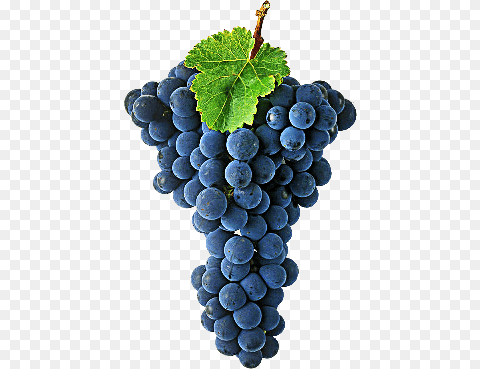 Cabernet Sauvignon Grape, Food, Fruit, Grapes, Plant Free Png