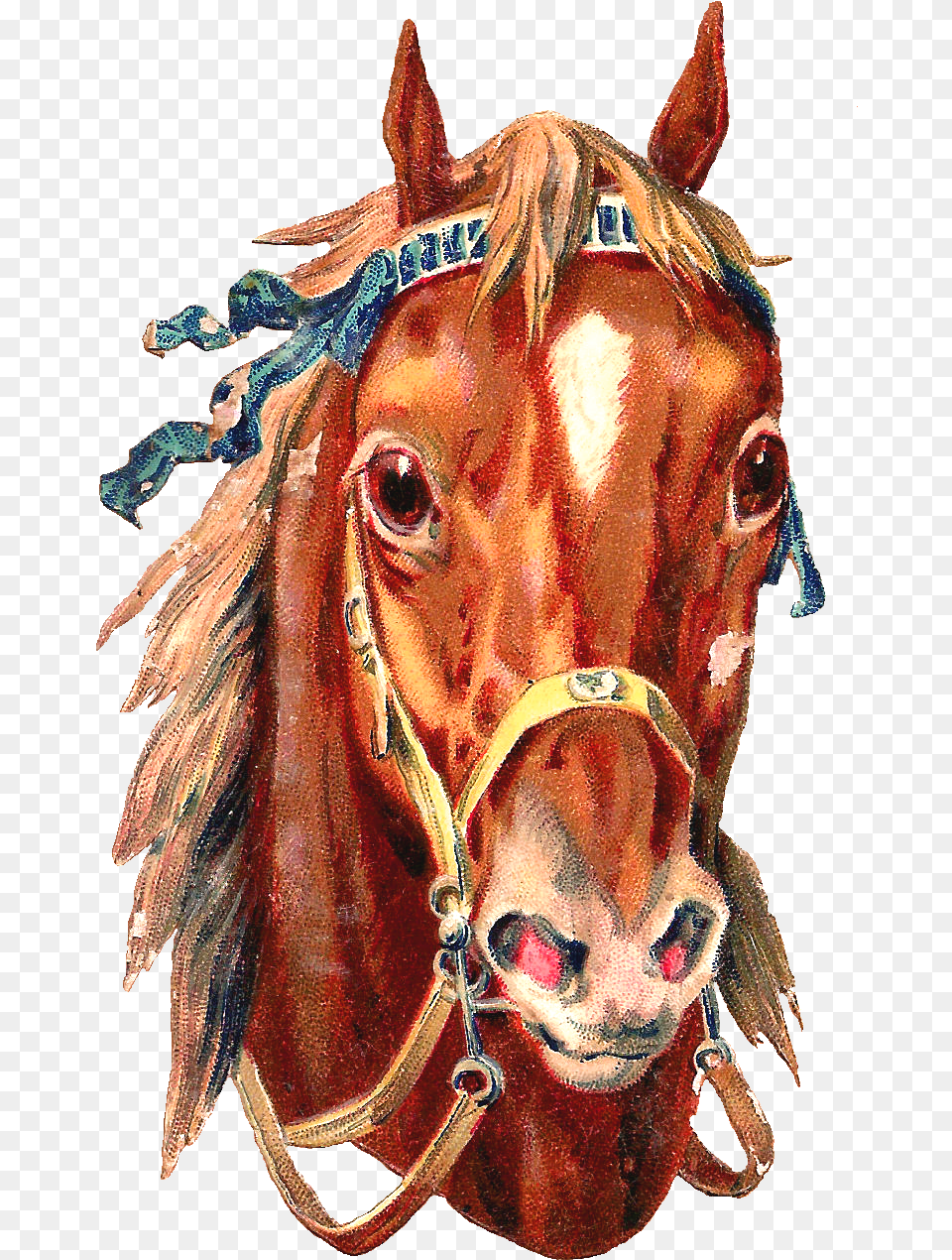 Cabeza De Caballo Tatuaje, Person, Animal, Mammal, Horse Free Png