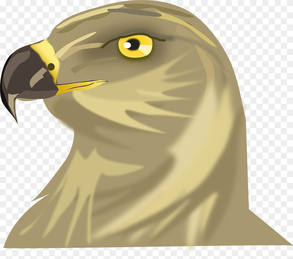 Cabeza De Halcon, Animal, Beak, Bird, Person Png Image