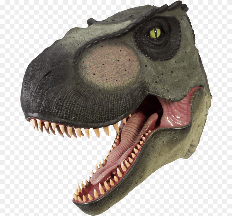 Cabeza T Rex A Real T Rex Head Large Dinosaur Statue, Animal, Reptile, T-rex Png