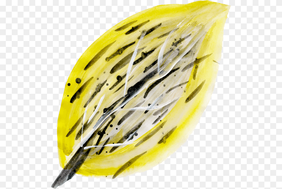 Cable, Blade, Cooking, Knife, Sliced Free Transparent Png
