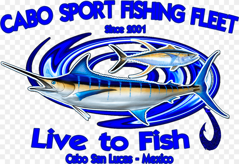 Cabo Sport Fishing Fleet Atlantic Blue Marlin Png