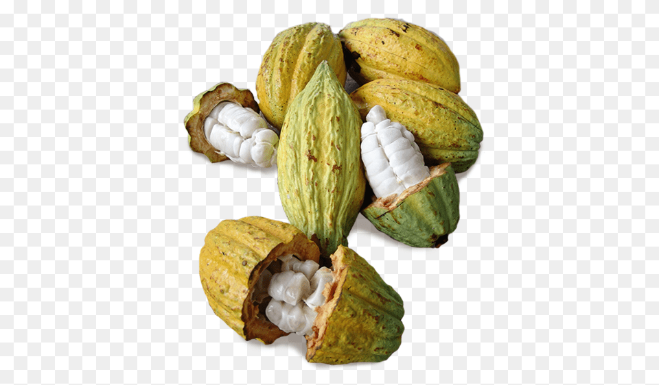 Cacao, Banana, Food, Fruit, Plant Png