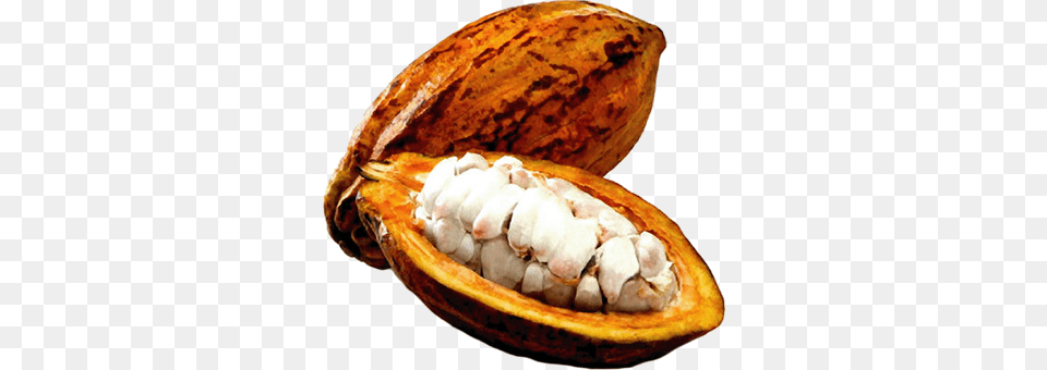 Cacao, Cocoa, Dessert, Food, Produce Free Png Download