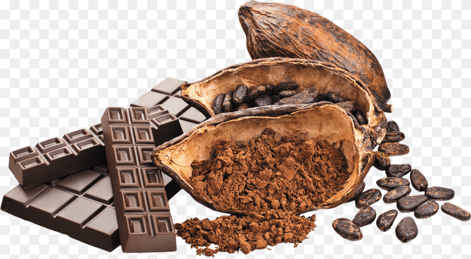 Cacao, Cocoa, Dessert, Food, Chocolate Free Transparent Png