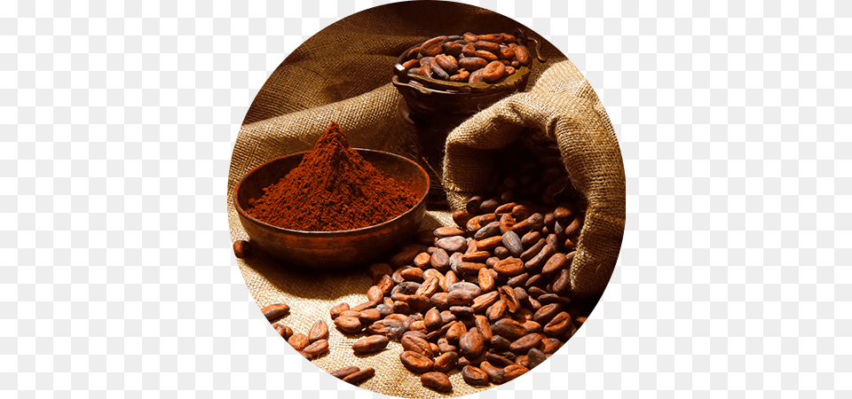 Cacao, Cocoa, Dessert, Food, Dining Table Png Image