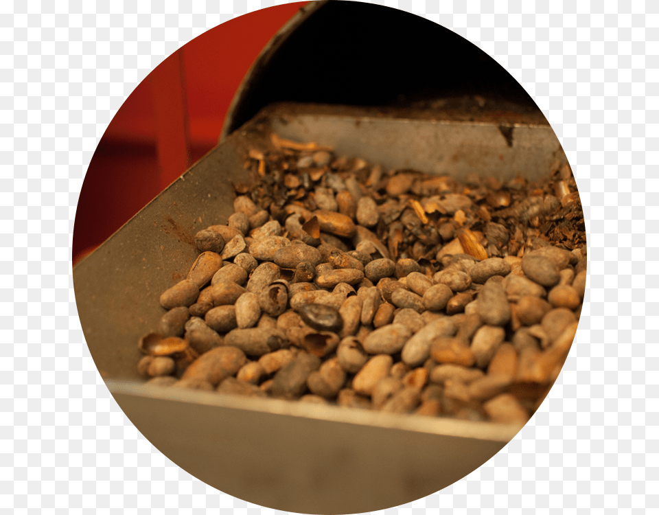 Cacao 2017 01 01 Pebble, Food, Produce, Nut, Plant Png