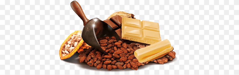 Cacao, Cocoa, Dessert, Food, Produce Free Png Download