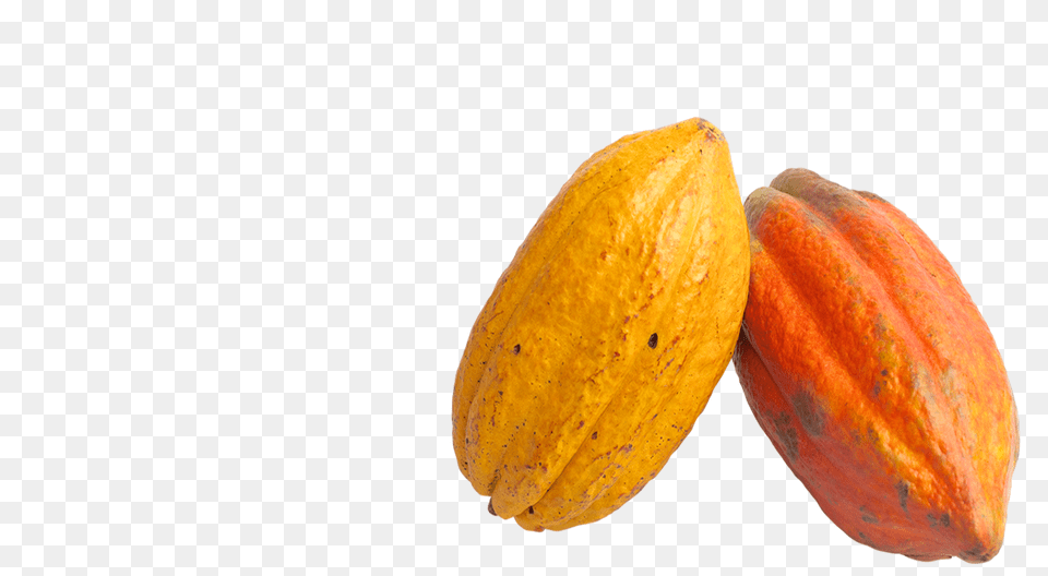 Cacao, Cocoa, Dessert, Food, Citrus Fruit Png