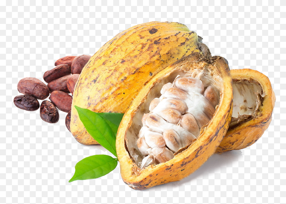 Cacao, Cocoa, Dessert, Food, Produce Png Image