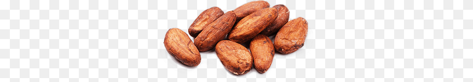 Cacao, Food, Produce, Almond, Grain Png