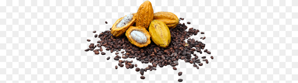 Cacao, Banana, Cocoa, Dessert, Food Free Transparent Png