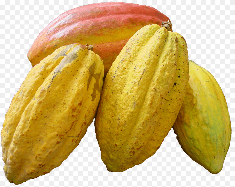 Cacao, Cocoa, Dessert, Food, Bread Free Png