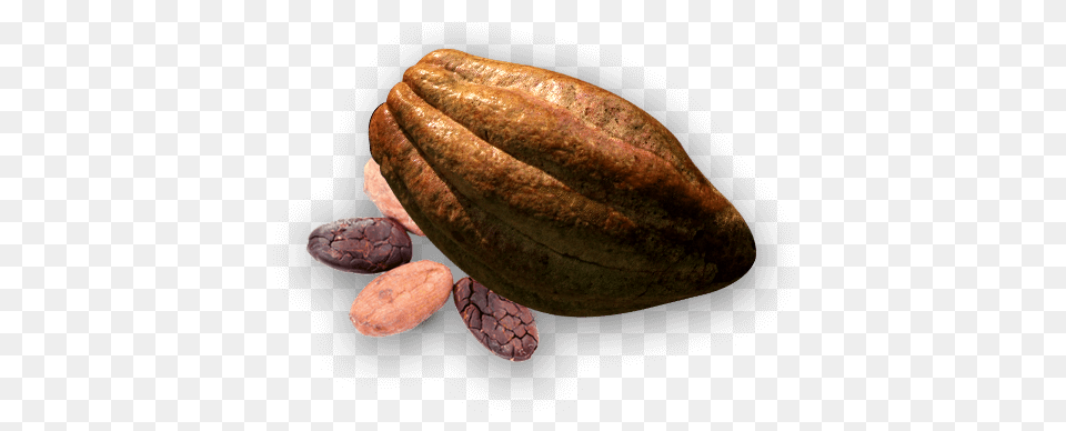 Cacao, Cocoa, Dessert, Food, Hot Dog Free Transparent Png