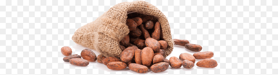 Cacao, Cocoa, Dessert, Food, Bag Png Image