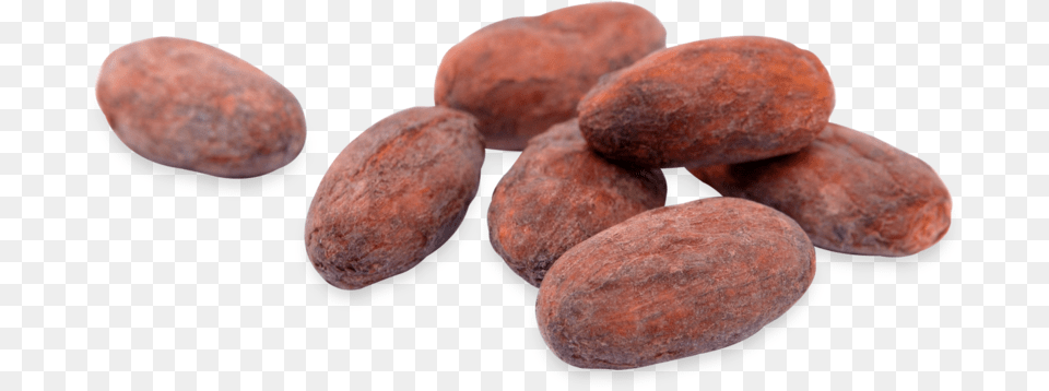 Cacao Beans Cacao Bean, Cocoa, Dessert, Food, Fruit Png