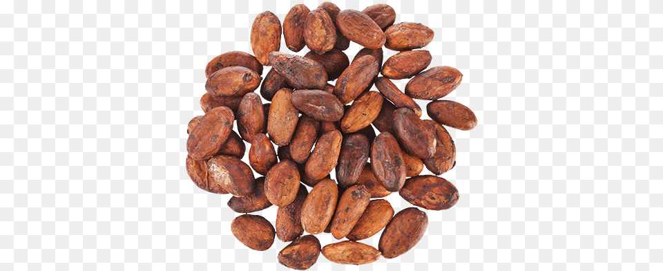 Cacao Caffeine, Cocoa, Dessert, Food, Plant Free Png