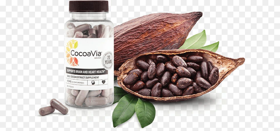 Cacao Chocolate Tree, Cocoa, Dessert, Food, Medication Free Png Download