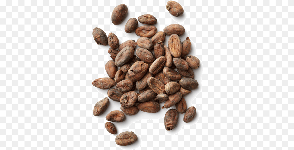 Cacao Cocoa Beans Background, Dessert, Food, Seed, Produce Free Transparent Png