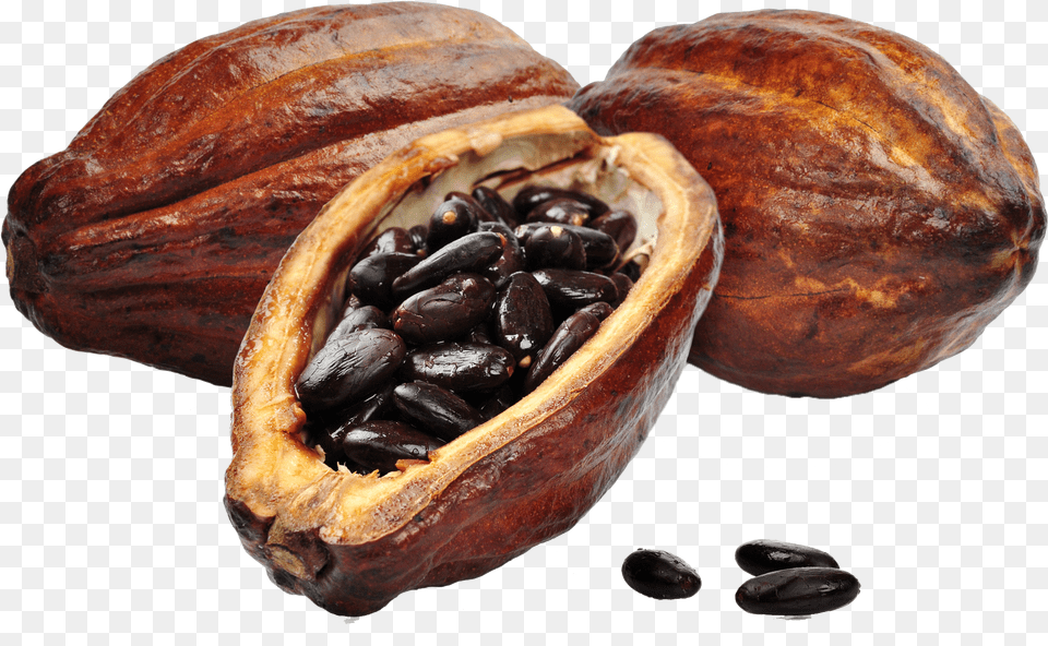 Cacao Free Download, Cocoa, Dessert, Food, Bread Png