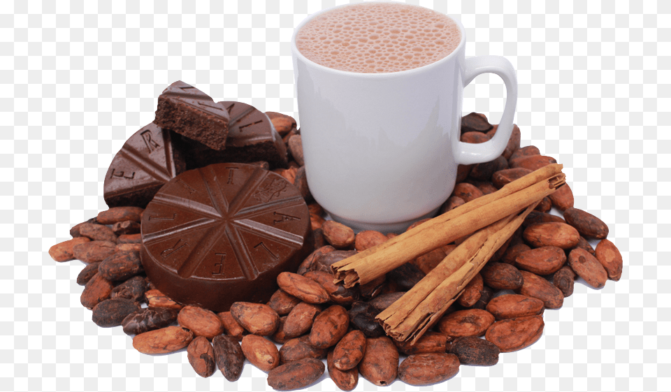 Cacao Kakao, Cocoa, Cup, Dessert, Food Free Png Download