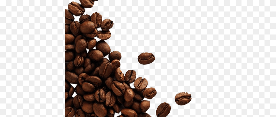 Cacao Images Pictures Photos Arts, Beverage, Coffee, Coffee Beans Free Transparent Png