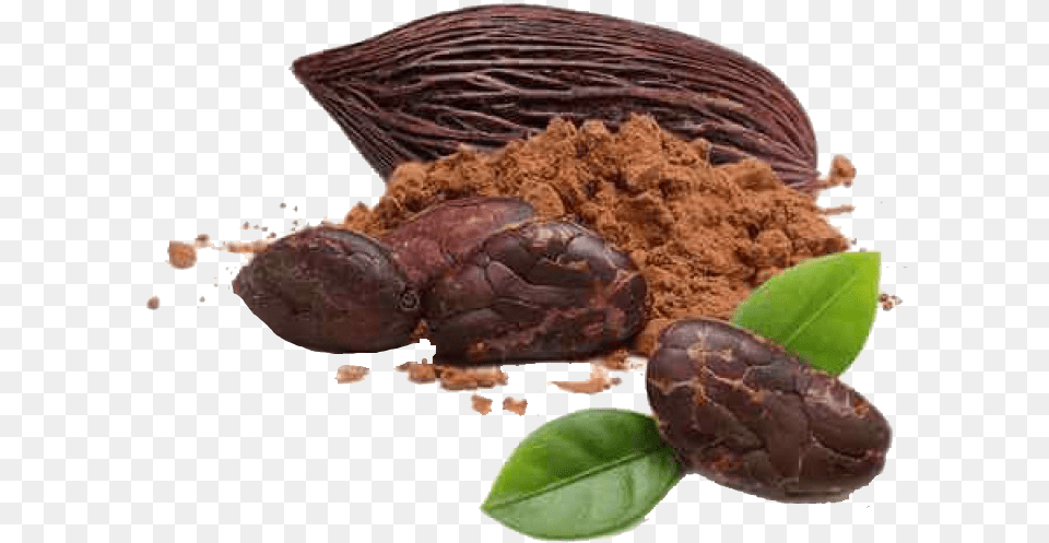 Cacao Y Chocolate, Cocoa, Dessert, Food, Herbal Free Png