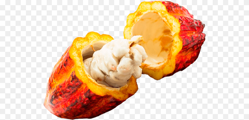 Cacau Cacau Fruta, Cocoa, Dessert, Food, Cream Png Image