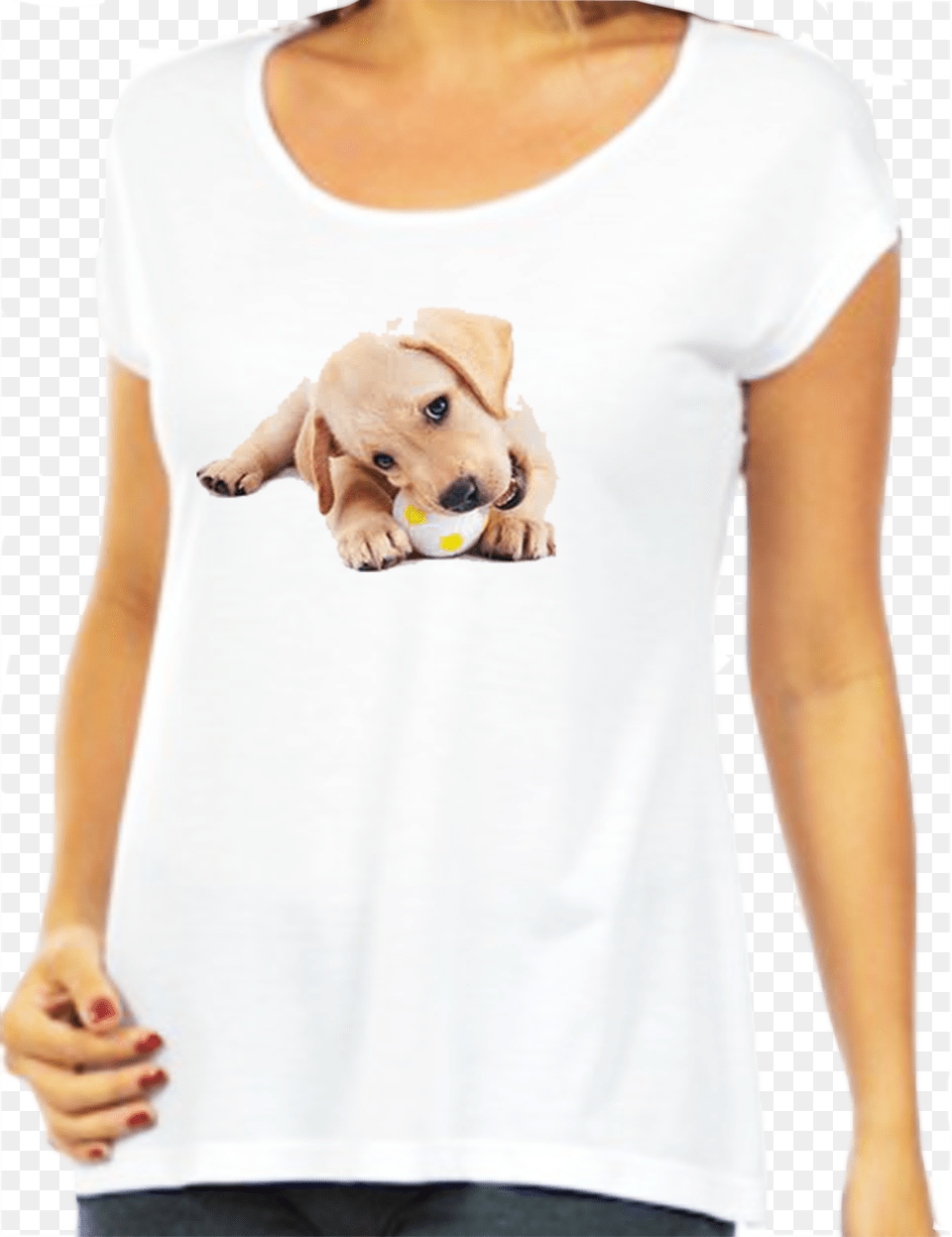 Cachorro Com Bolinha Pro Site Labradors Chew Toys For Dogs Who Are Teething, T-shirt, Clothing, Adult, Person Free Png Download