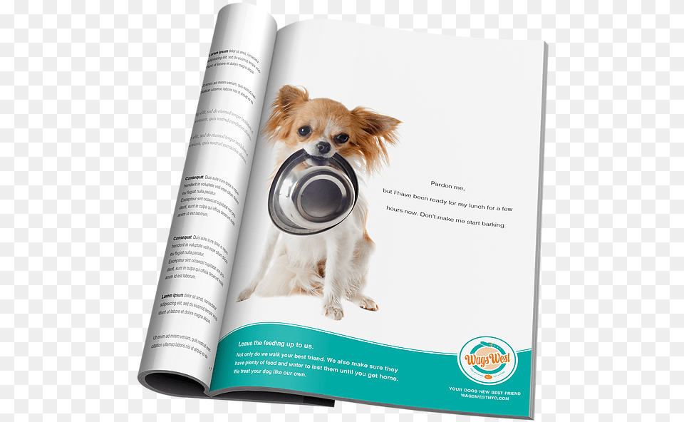 Cachorro Com Pote De Comida, Advertisement, Poster, Animal, Canine Free Transparent Png