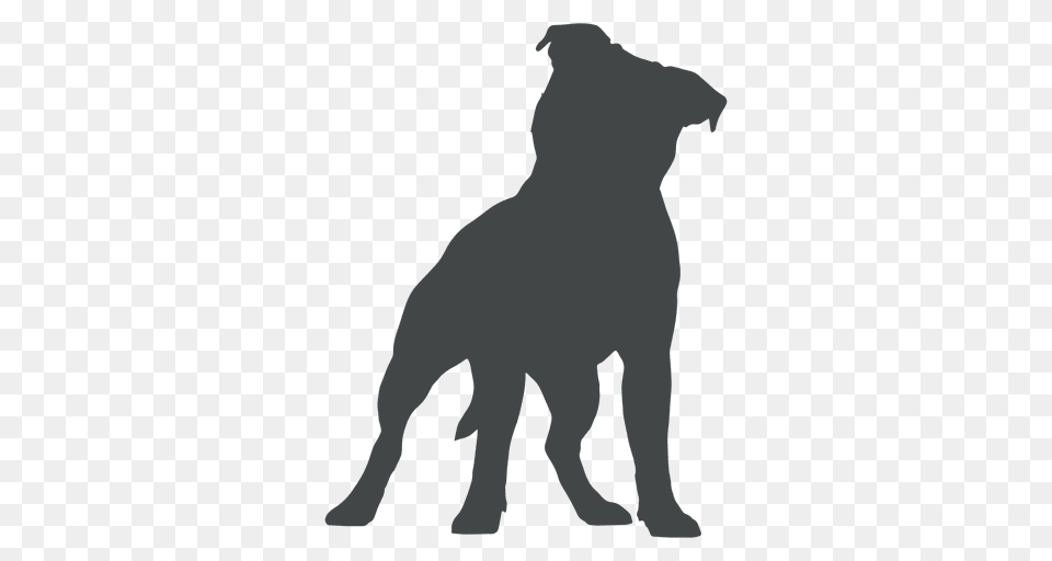 Cachorro Perro Silueta Posar, Silhouette, Animal, Bear, Mammal Free Transparent Png