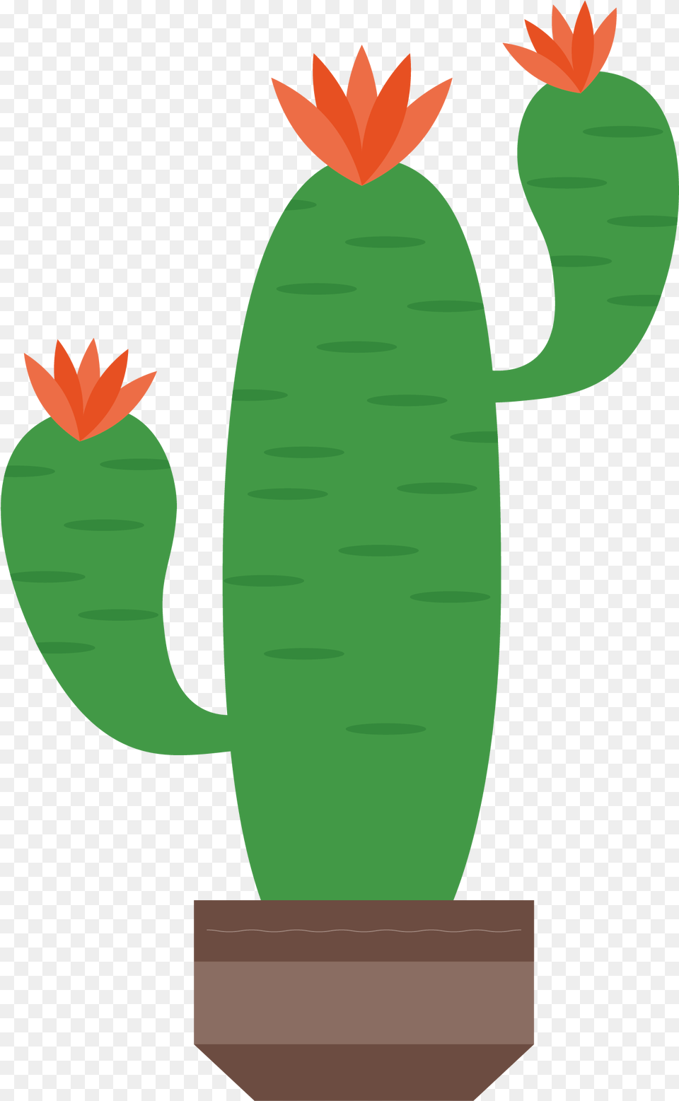 Cactaceae Artworks Illustration Flowering Cactus Clipart, Plant, Face, Head, Person Png