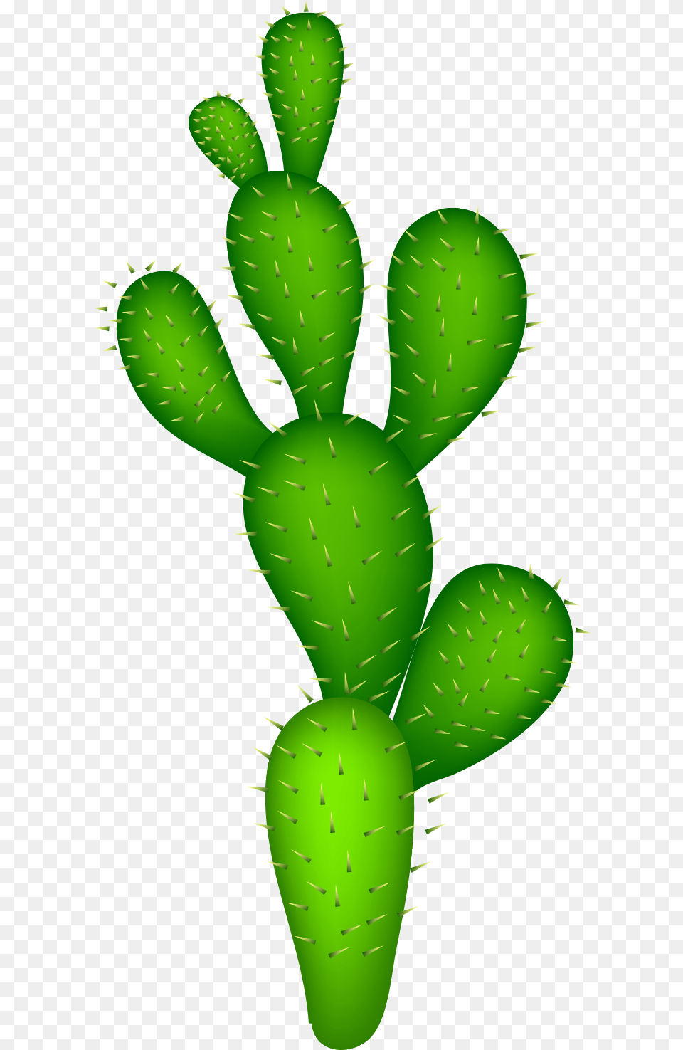 Cactaceae Clip Art, Cactus, Plant Free Png Download