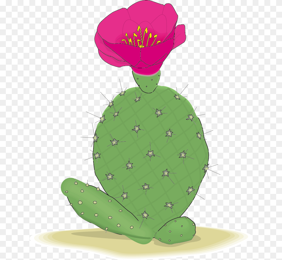 Cactaceae Clip Art Cactus, Plant, Nature, Outdoors, Snow Free Transparent Png