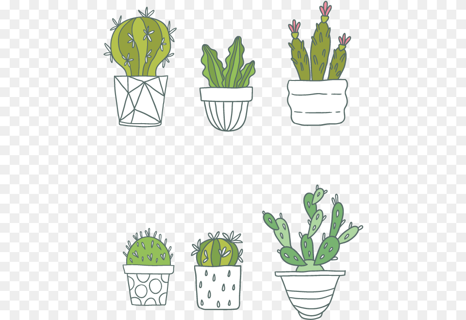 Cactaceae Succulent Plant Clip Art Cactus, Potted Plant, Jar, Planter, Pottery Free Transparent Png