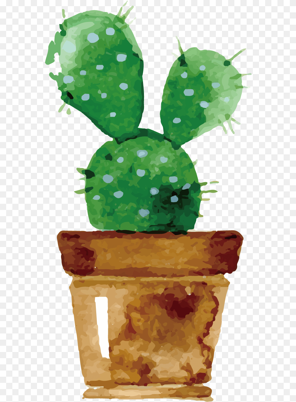 Cactaceae Watercolor Painting Drawing Succulent Plant Transparent Cactus Watercolor, Potted Plant, Baby, Person, Face Free Png Download