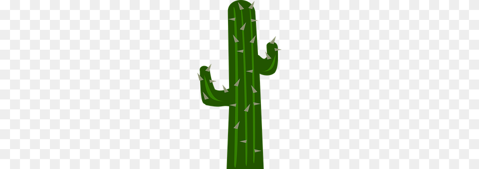 Cacti Cactus, Plant, Cross, Symbol Free Png