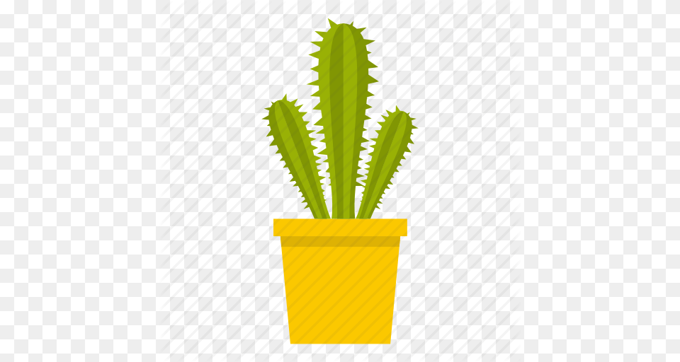 Cacti Cactus Desert Mexican Nature Plant Succulent Icon, Potted Plant Free Transparent Png