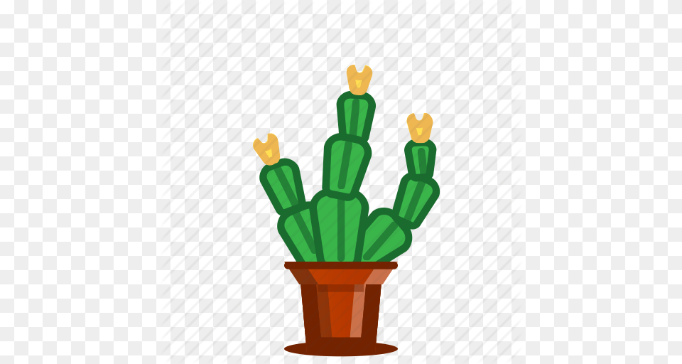 Cacti Cactus Flowering Plants Potted Plant Succulent Trees Icon, Festival, Hanukkah Menorah Png