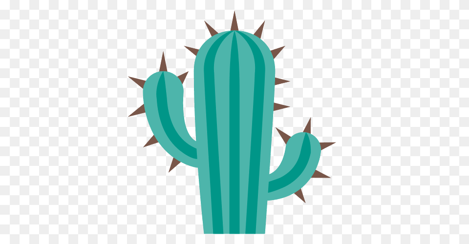 Cacti Icons, Cactus, Plant Free Transparent Png
