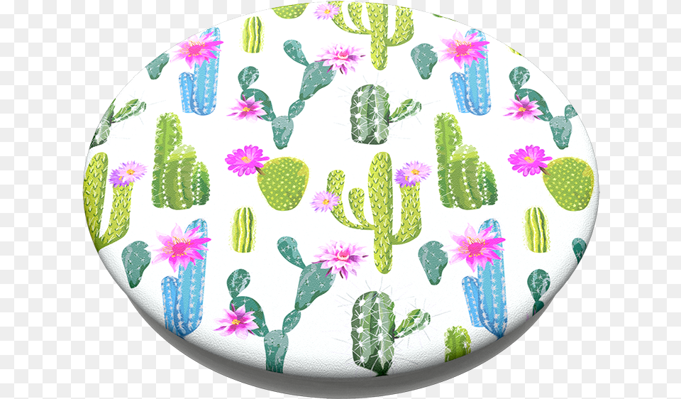 Cacti Popsockets Popsocket Cacti, Cactus, Plant, Plate Png Image