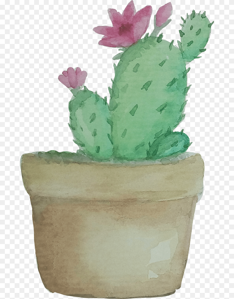 Cacto Aquarela Catarinazs Report Transparent Watercolor Cactus Succulent, Plant, Potted Plant Png Image