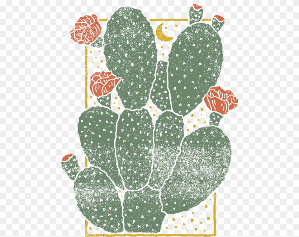 Cactus 01 Cactus Graphic Design, Plant, Baby, Person, Head Free Png Download