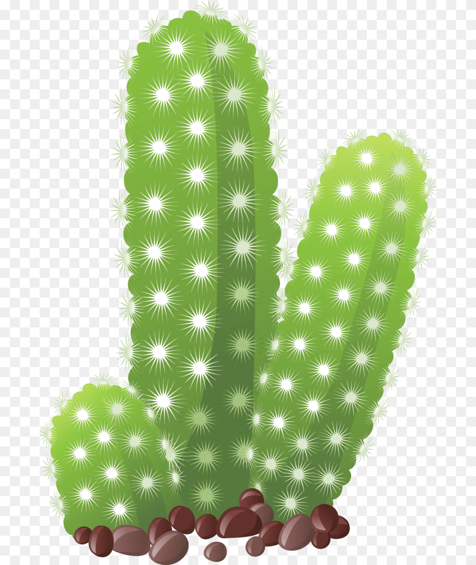 Cactus, Plant Free Png