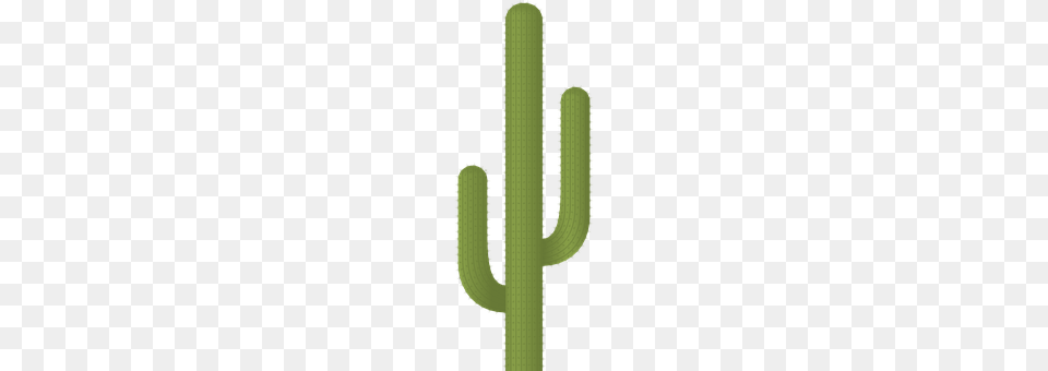 Cactus Plant Free Png