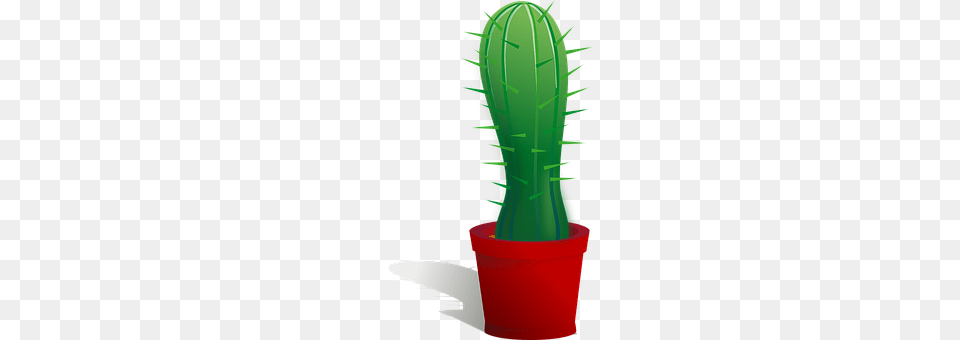 Cactus Plant, Dynamite, Weapon Png
